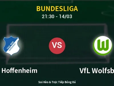 🔴 Trực Tiếp: 1899 Hoffenheim 0-0 VfL Wolfsburg – Link Xem Bundesliga (Full HD)