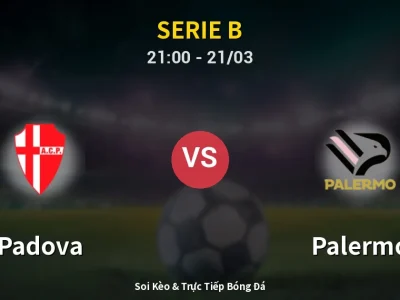 🔴 Trực Tiếp: Padova 0-0 Palermo – Link Xem Serie B (Full HD)