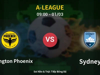 Kết Quả: Wellington Phoenix 0-1 Sydney – Highlight & Bàn Thắng | A-League