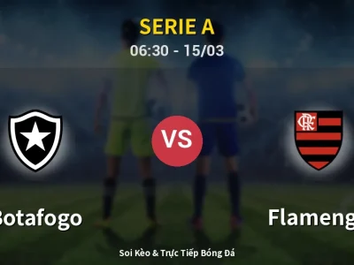 Soi Kèo Botafogo vs Flamengo – 06:30 15/03 | Nhận Định, Dự Đoán Tỷ Số