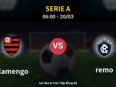 Kết Quả: Flamengo 3-0 remo – Highlight & Bàn Thắng | Serie A