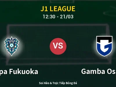 Kết Quả: Avispa Fukuoka 2-2 Gamba Osaka – Highlight & Bàn Thắng | J1 League