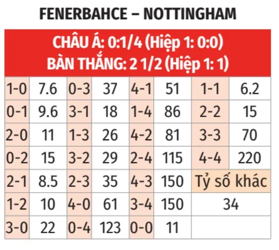 Fenerbahce vs Nottingham 